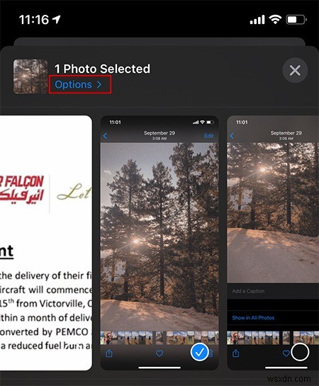 iPhone/iPadの写真・動画にキャプションを付けて検索しやすくする方法(iOS 14以降)