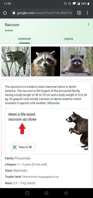 Googleの3D動物を自宅のリビングに呼び出す方法｜AR検索の使い方を徹底解説