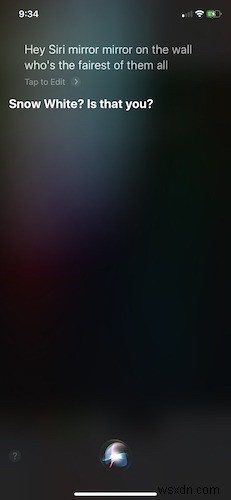 Siriに聞くと面白い反応が返ってくる質問集【暇つぶしに最適】
