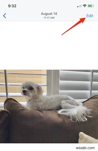 iPhoneの「写真」アプリで写真を編集する方法【初心者向け完全ガイド】