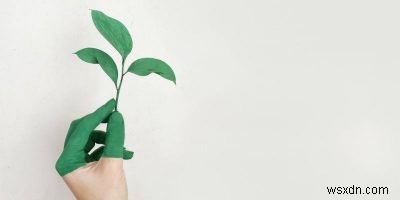 今日から始められる環境にやさしい生活!おすすめエコアプリ5選