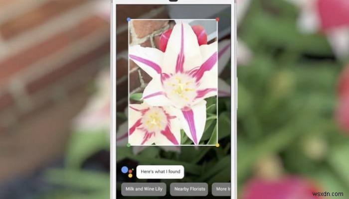 Android・iPhoneでGoogleレンズを入手して使う方法を徹底解説