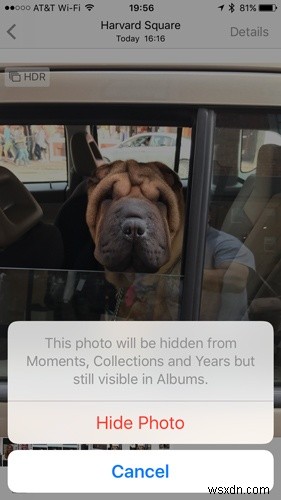 知らないと損をする!iPhone「写真」アプリの隠れた便利機能を完全マスター