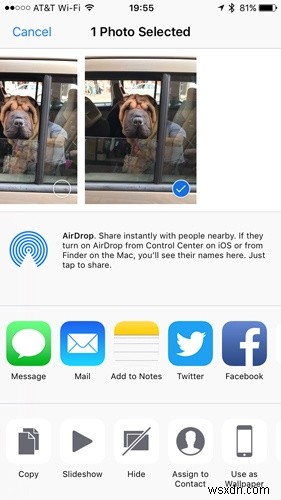 知らないと損をする!iPhone「写真」アプリの隠れた便利機能を完全マスター