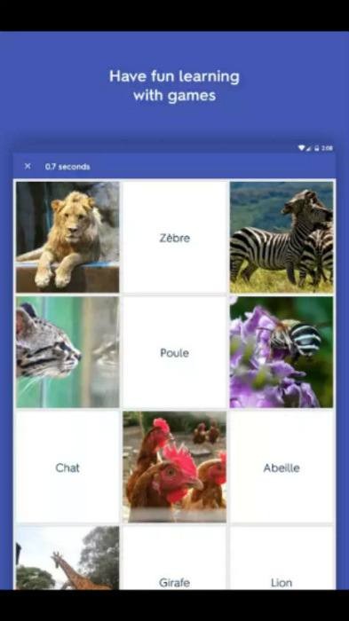 Androidユーザー必見!無料で使えるおすすめフラッシュカードアプリ5選