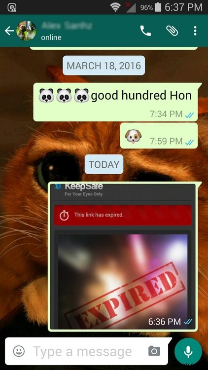 WhatsAppの不具合を解決!知っておきたい便利な対処法まとめ