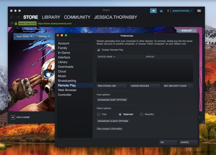 Raspberry Pi 4とSteam LinkでSteamゲームを大画面にストリーミングする方法