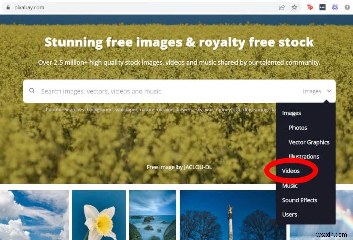 クリエイティブ・コモンズ動画を合法的に探せるおすすめサイト10選