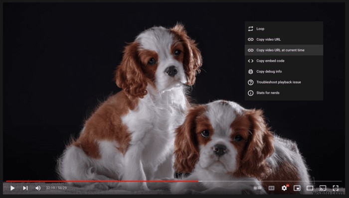 知っておきたいYouTube URLの便利ワザ8選|視聴体験がもっと快適になるテクニック