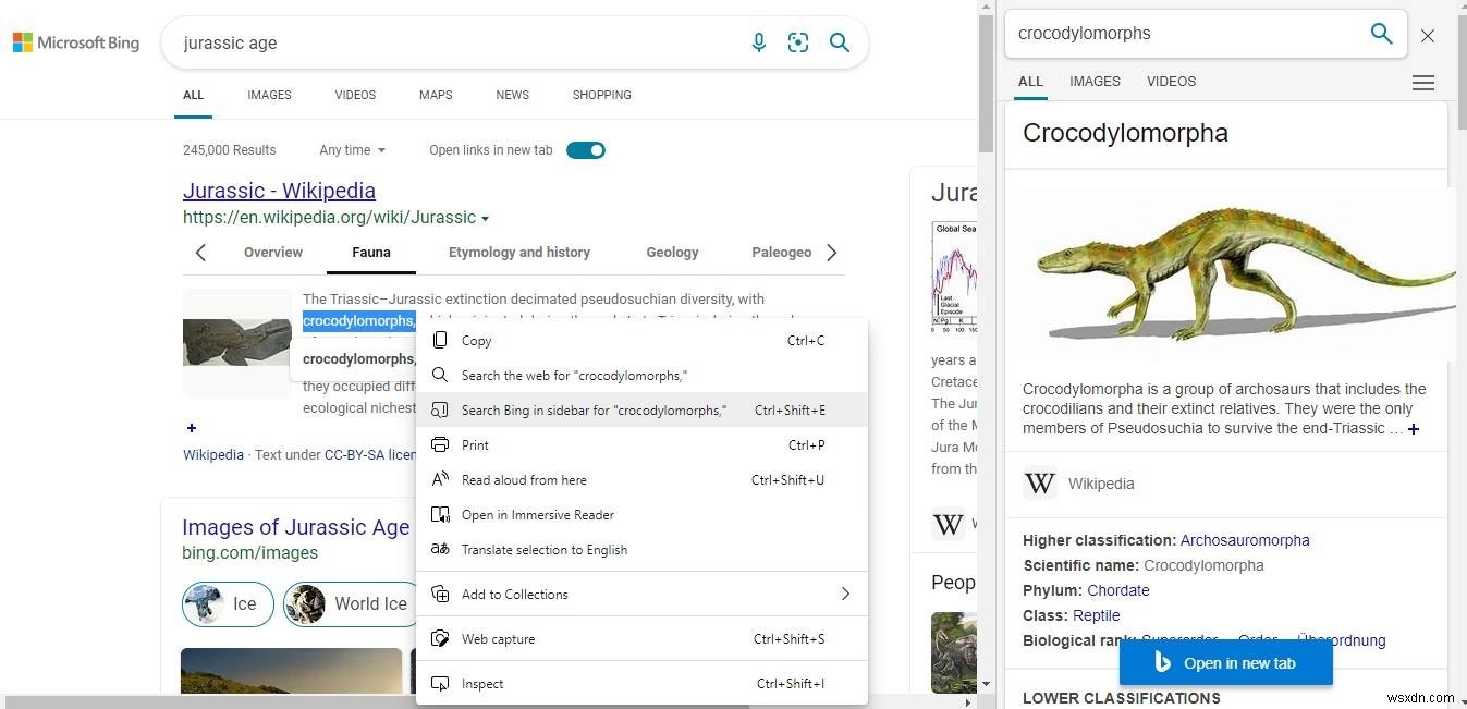 BingがGoogleに勝る12のポイント｜知られざる検索エンジンの実力