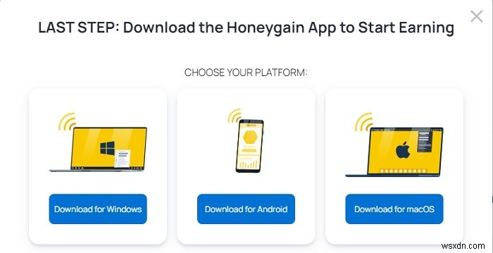 Honeygain（ハニーゲイン）とは？仕組み・稼ぎ方・安全性を徹底解説