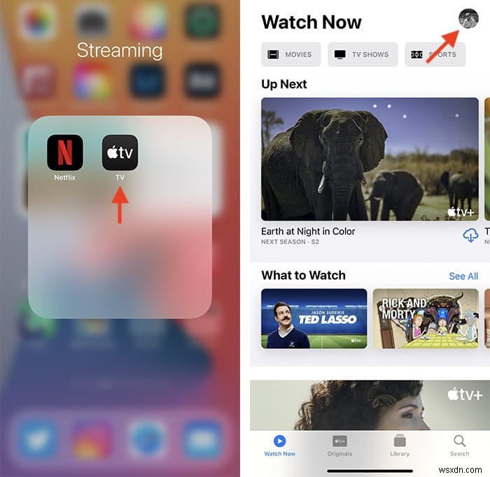 Apple TV+を解約する方法｜iPhone・ブラウザからのキャンセル手順を解説