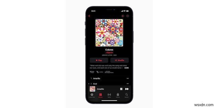Apple Musicのロスレス（可逆圧縮）音楽とは？対応デバイスと聴き方を徹底解説