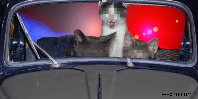 オンラインで画像をぼかす方法|無料ツール4選で顔や個人情報を隠す