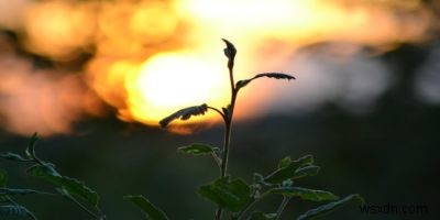 Instagram映えする写真が撮れる!初心者でもできる6つの簡単ステップ
