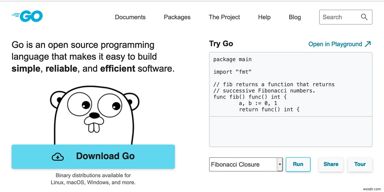 Golang vs Java：徹底比較でわかるプログラミング言語の選び方