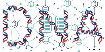 DNA検査のデータは誰のもの?ブロックチェーンでプライバシーを守る次世代サービス