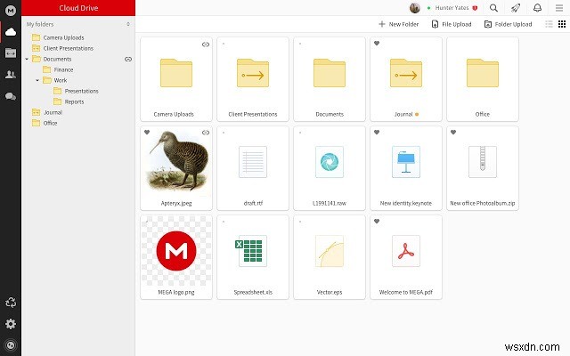 Googleの代わりに使える!プライバシー保護を重視した代替サービス徹底ガイド