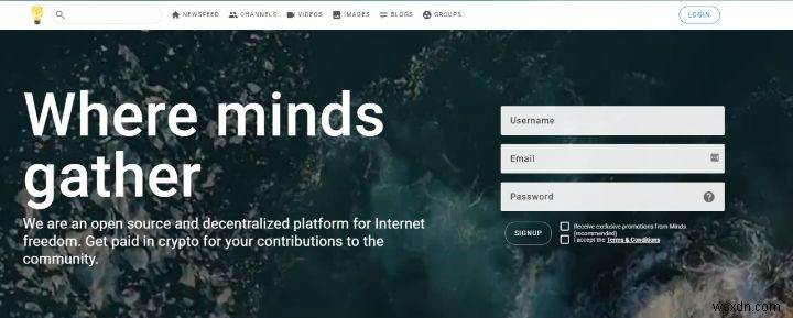 Google+ユーザー必見!移行先におすすめのSNS 5選