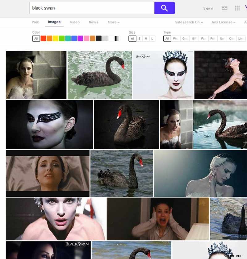 Google以外の検索エンジンは本当に使える？主要6サービスを4部門で徹底比較