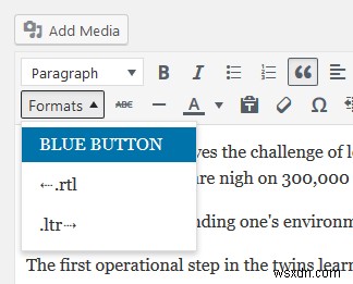 WordPressの投稿エディターにカスタムスタイルオプションを追加する2つの方法