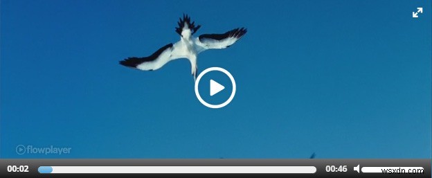 WordPressサイトに動画を埋め込むなら!おすすめ動画プラグイン7選