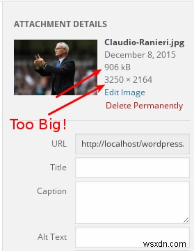 WordPressサイトの画像を最適化する7つの実践テクニック【表示速度とSEO改善】
