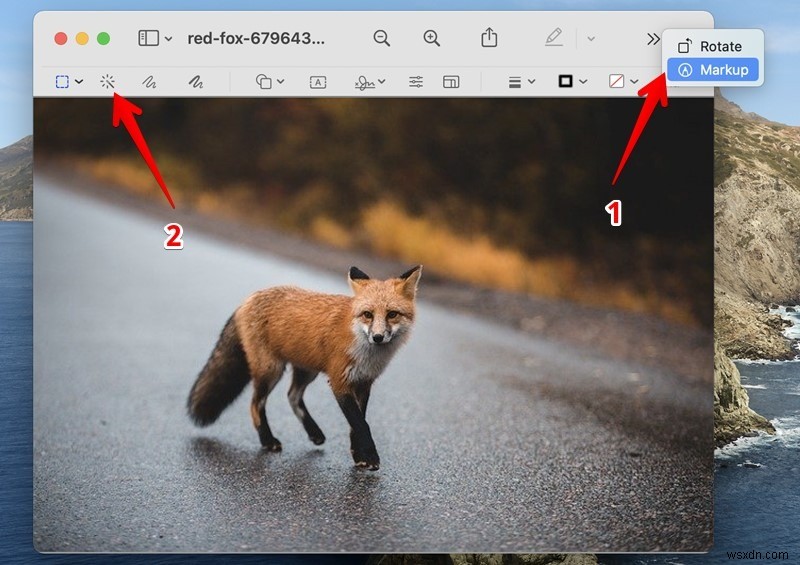 Photoshopなしで画像を透明にする方法|Word・PowerPoint・無料ツールで簡単にできる!