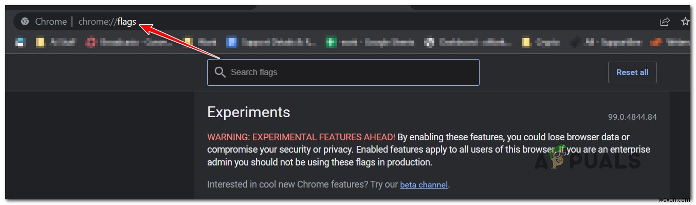 Chromeフラグの使い方を徹底解説!隠れた新機能を有効化する方法