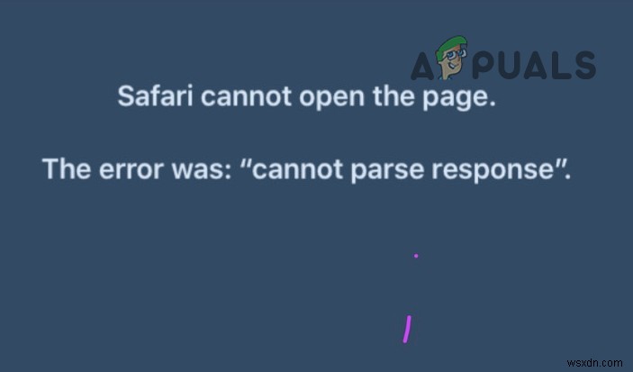 Safariで「応答を解析できません」エラーが発生する原因と解決策まとめ