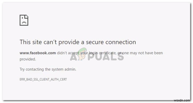 ERR_BAD_SSL_CLIENT_AUTH_CERTエラーの原因と5つの解決方法【Chrome証明書エラー対処ガイド】
