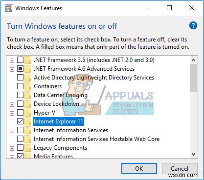 修正:Internet Explorer が動作しなくなった場合の対処法 20 選