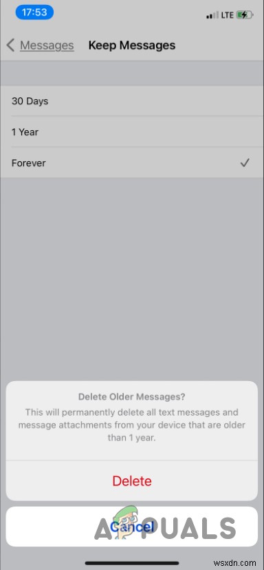 iPhoneの「その他」ストレージとは?原因と容量を空ける4つの方法を徹底解説