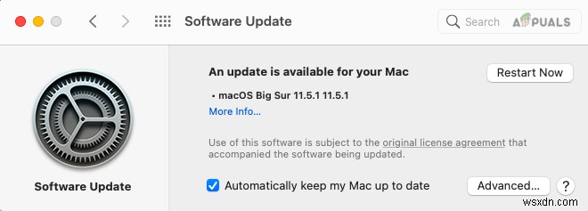 すべてのMacユーザーがmacOS Big Sur 11.5.1へ今すぐアップデートすべき理由