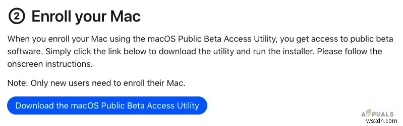 macOS Montereyベータ版をインストールする方法を徹底解説