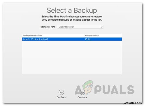 macOS Big Surパブリックベータのインストール方法|対応Mac・バックアップから復元まで完全解説