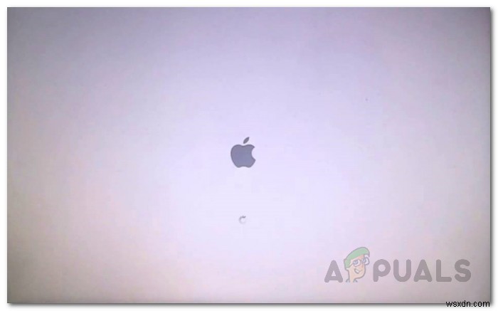 Macが白い画面のまま起動しないときの原因と5つの対処法