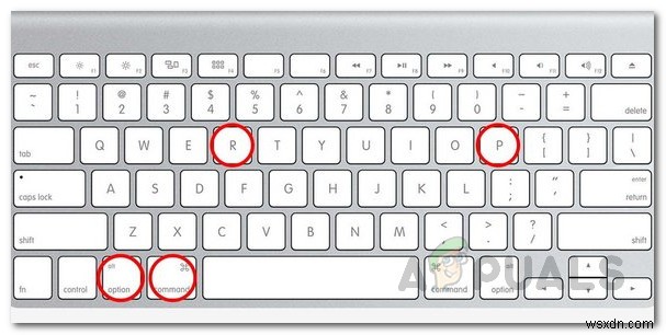Macが白い画面のまま起動しないときの原因と5つの対処法