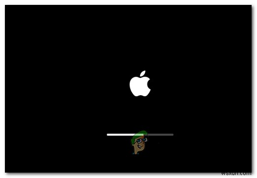 【解決法】Macでディスクユーティリティが「Loading disks」のまま読み込まないときの対処方法