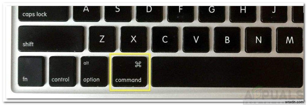Macがフリーズしたときの対処法!強制再起動のやり方を解説