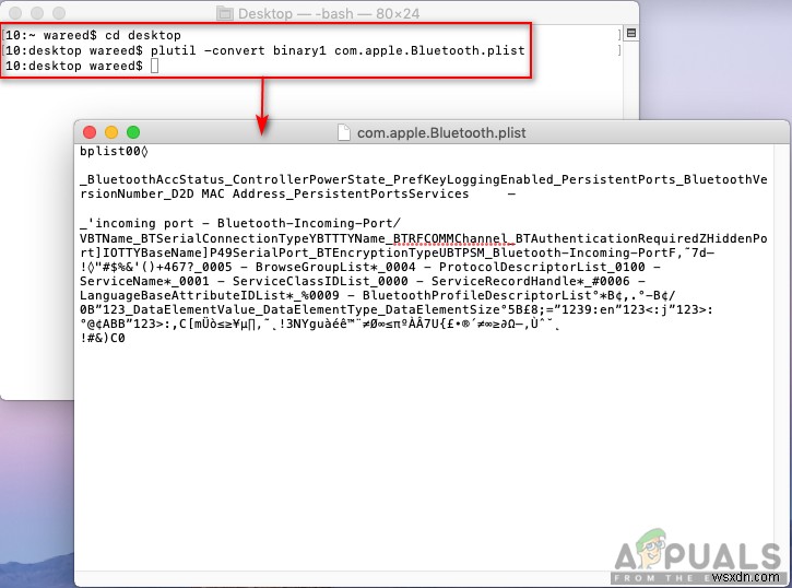 PLISTファイルとは?macOSで削除しても安全なのか徹底解説
