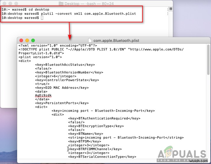 PLISTファイルとは?macOSで削除しても安全なのか徹底解説
