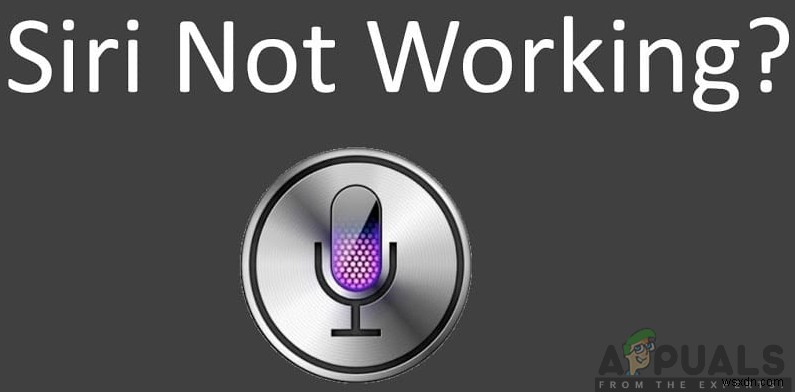Siriが機能しない・反応しないときの原因と解決策11選