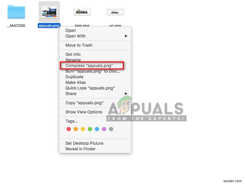 macOSでファイルを圧縮・解凍する方法|ZIP作成からパスワード設定まで徹底解説