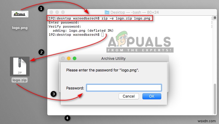 macOSでファイルを圧縮・解凍する方法｜ZIP作成からパスワード設定まで徹底解説