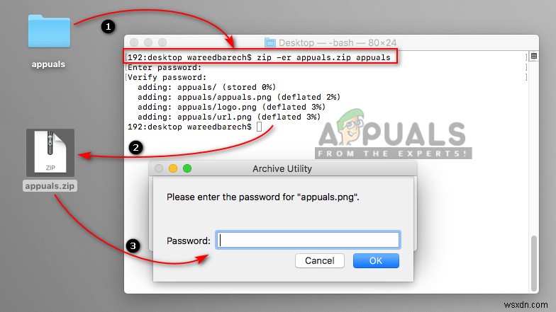 macOSでファイルを圧縮・解凍する方法|ZIP作成からパスワード設定まで徹底解説
