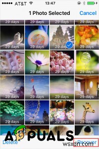 iPhoneで削除した写真を復元する3つの方法【初心者向け完全ガイド】