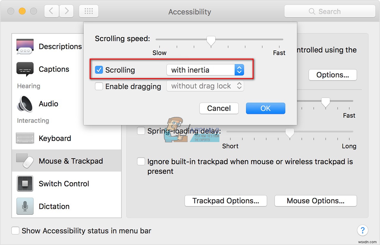 【保存版】Macでトラックパッドのスクロールができないときの原因と直し方