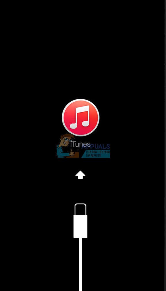 無効になったiPhone・iPadを復旧させる3つの方法|パスコードを忘れたときの対処法