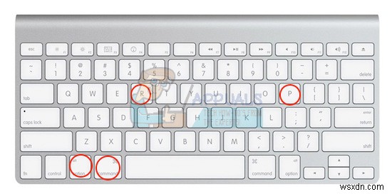 Macでエラーコード43が出た時の対処法|原因と5つの解決策を徹底解説